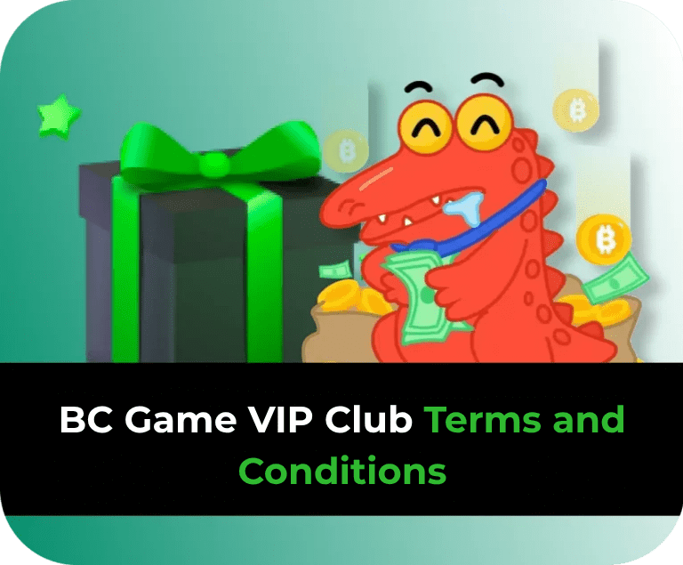 Terms and Conditions of the BC Game VIP Club